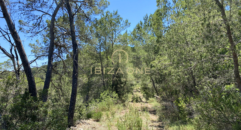 Photos of the property