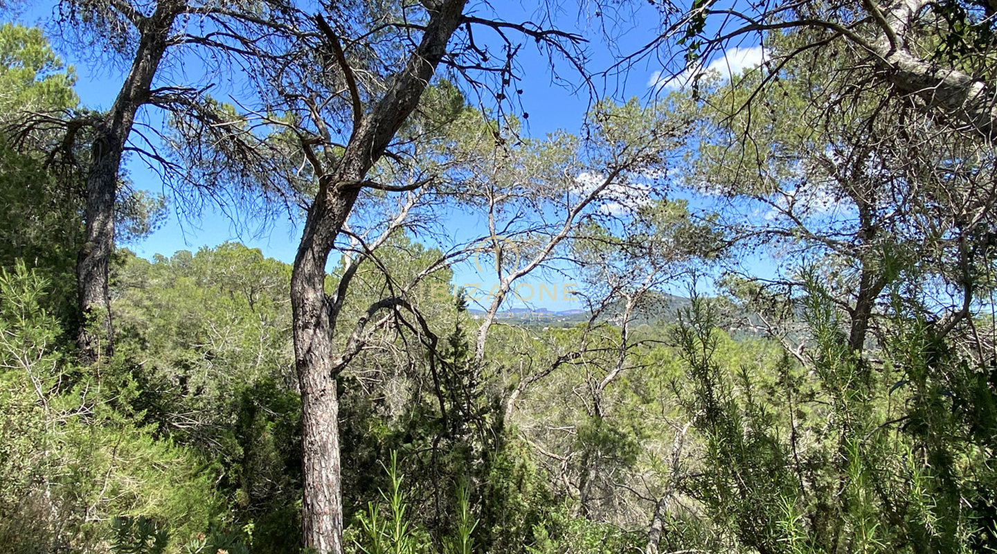 Grand terrain avec permis de construire près d'Ibiza avec vue sur la mer à vendre, Ibiza - Grand terrain avec permis de construire près d'Ibiza avec vue sur la mer à louer, Ibiza