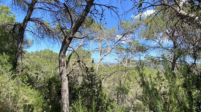 Grand terrain avec permis de construire près d'Ibiza avec vue sur la mer à vendre, Ibiza - Grand terrain avec permis de construire près d'Ibiza avec vue sur la mer à louer, Ibiza