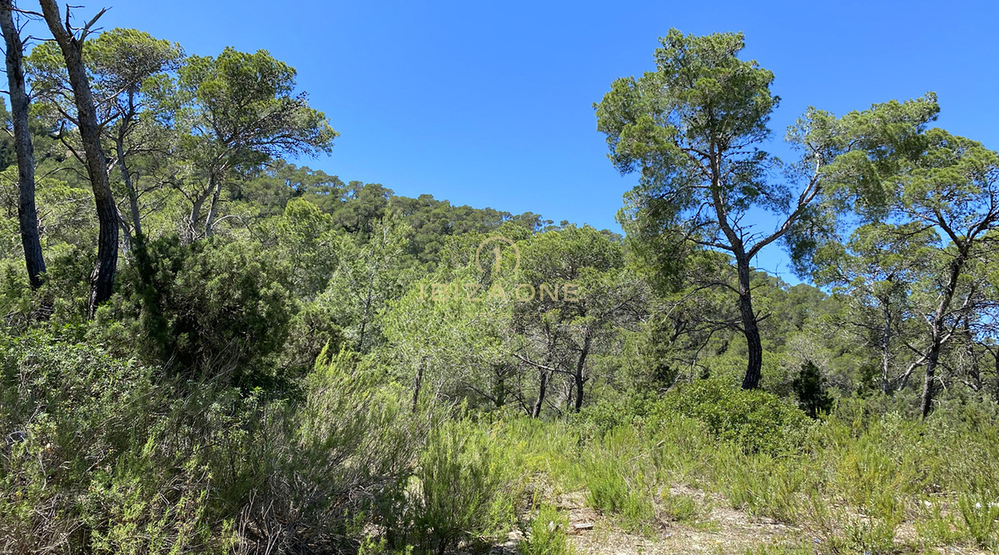 Ampio terreno con licenza edilizia vicino a Ibiza con vista mare in vendita, Ibiza - Ampio terreno con licenza edilizia vicino a Ibiza con vista mare in affitto, Ibiza