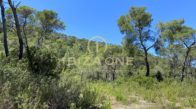 Grand terrain avec permis de construire près d'Ibiza avec vue sur la mer à vendre, Ibiza - Grand terrain avec permis de construire près d'Ibiza avec vue sur la mer à louer, Ibiza