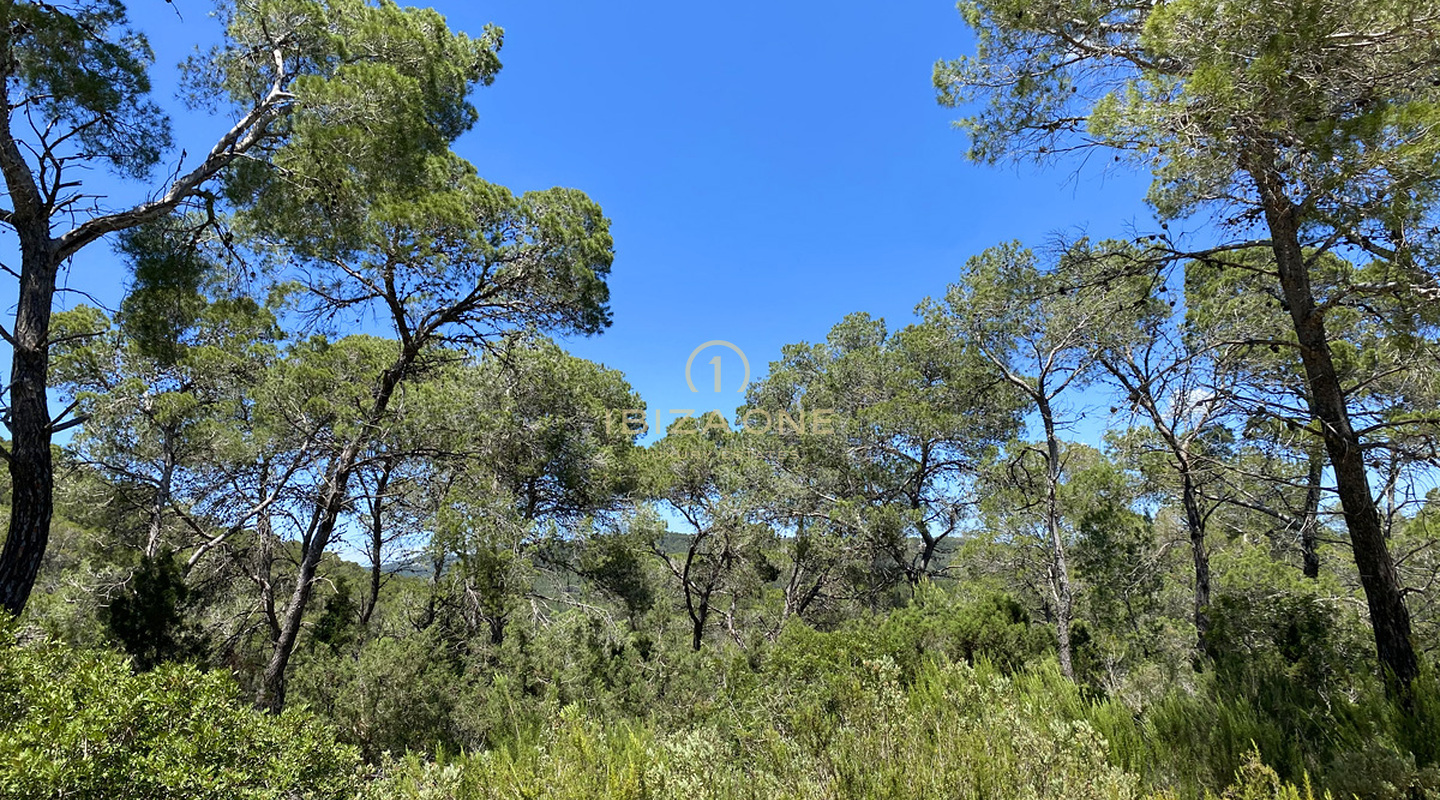 Большой участок с лицензией на строительство недалеко от Ибицы с видом на море на продажу, Ибица - Большой участок с лицензией на строительство недалеко от Ибицы с видом на море в аренду, Ибица