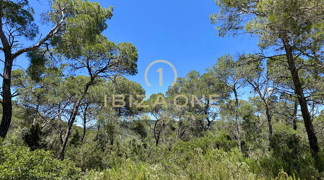 Gran parcela con licencia de obra cerca de Ibiza con vistas al mar en venta, Ibiza - Gran parcela con licencia de obra cerca de Ibiza con vistas al mar en alquiler, Ibiza