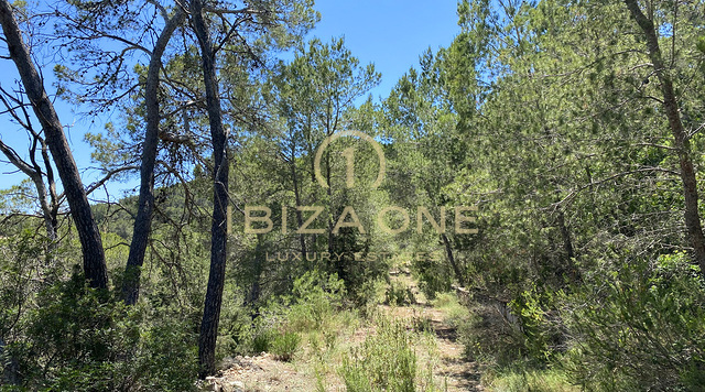Großes Grundstück mit Baugenehmigung in der Nähe von Ibiza mit Meerblick zu verkaufen, Ibiza - Großes Grundstück mit Baugenehmigung in der Nähe von Ibiza mit Meerblick zu vermieten, Ibiza