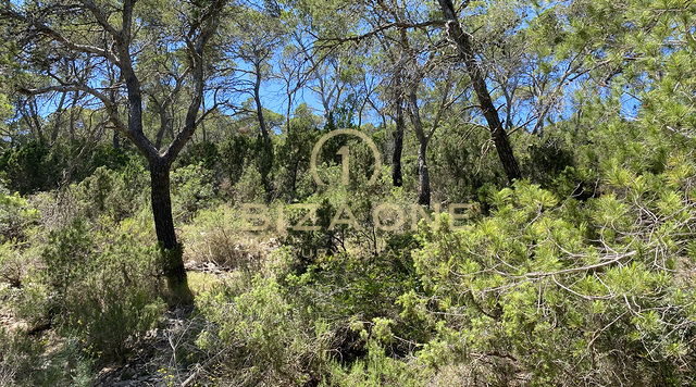 Gran parcela con licencia de obra cerca de Ibiza con vistas al mar en venta, Ibiza - Gran parcela con licencia de obra cerca de Ibiza con vistas al mar en alquiler, Ibiza