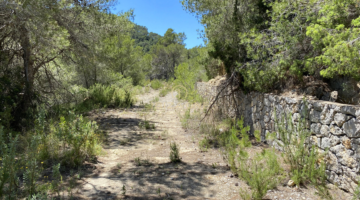 Large plot with building license close to Ibiza with sea views for sale, Ibiza - Large plot with building license close to Ibiza with sea views for rent, Ibiza