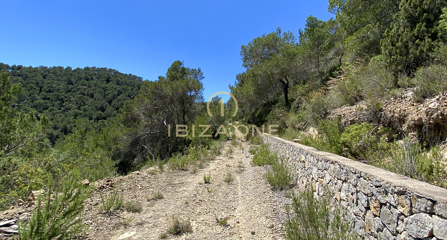 Photos of the property