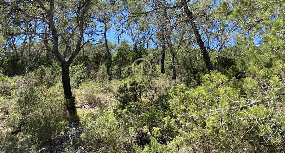 Photos of the property