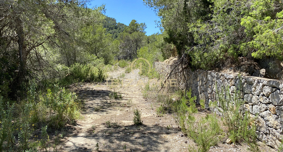 Photos of the property