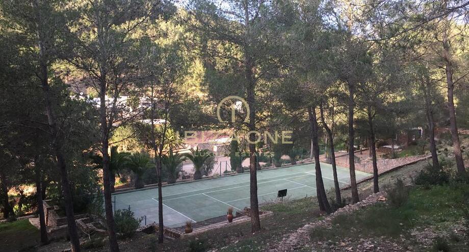 Photos of the property