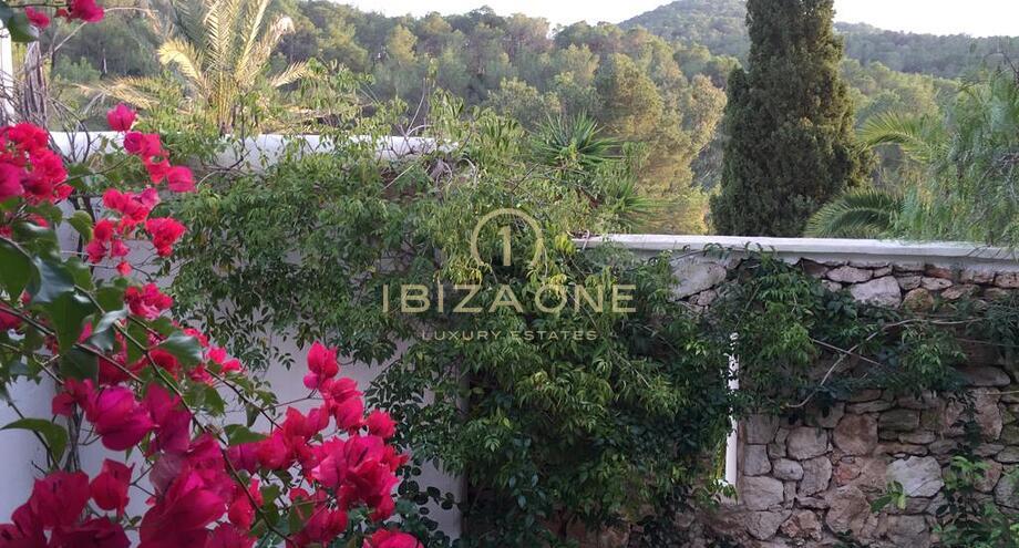 Fotos de la propiedad