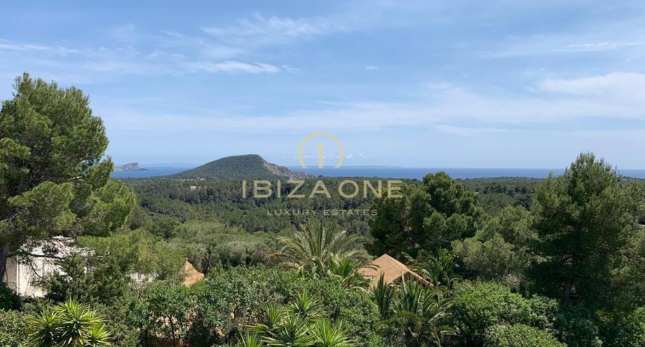 Photos of the property