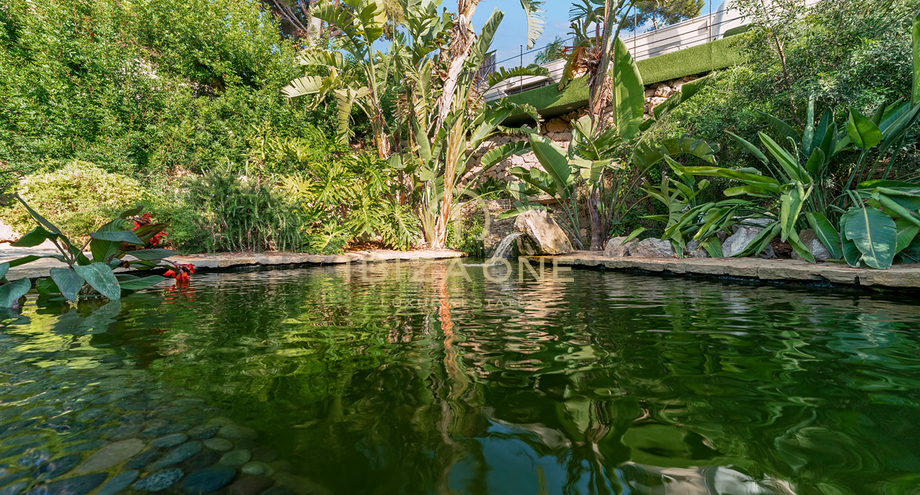 Photos of the property