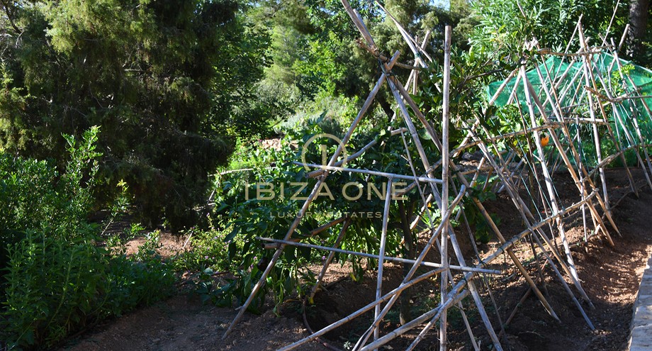 Photos of the property