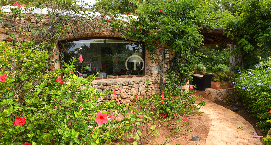 Photos of the property