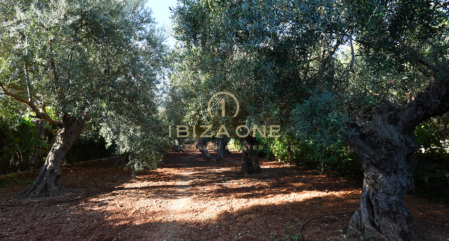 Photos of the property