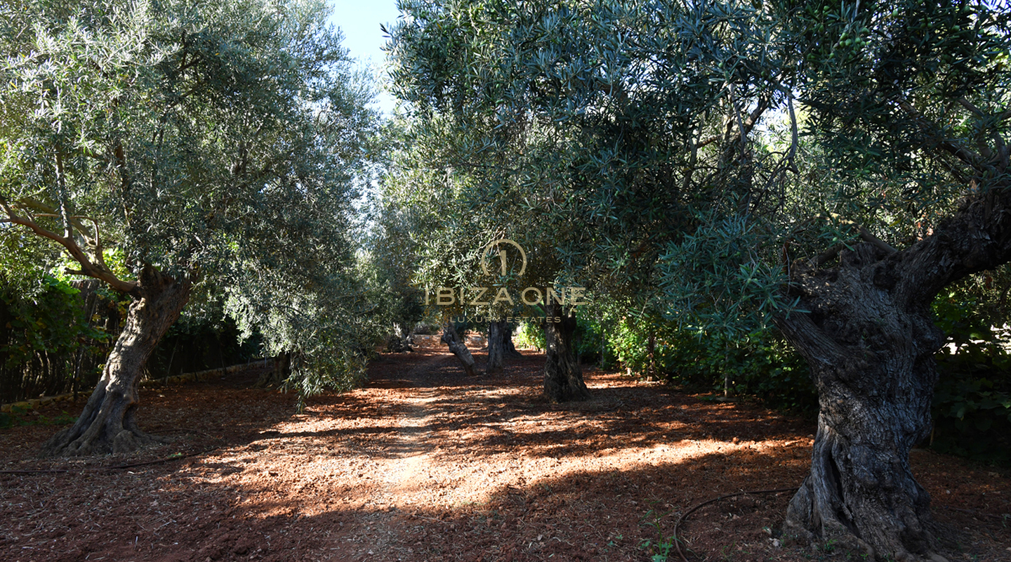 Luxus-Finca in der Nähe von Ibiza mit Meerblick und Blick auf Dalt Vila zu verkaufen, Ibiza - Luxus-Finca in der Nähe von Ibiza mit Meerblick und Blick auf Dalt Vila zu vermieten, Ibiza