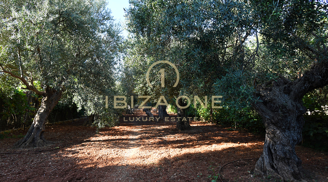 Finca di lusso vicino a Ibiza con vista sul mare e su Dalt Vila in vendita, Ibiza - Finca di lusso vicino a Ibiza con vista sul mare e su Dalt Vila in affitto, Ibiza