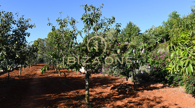 Finca di lusso vicino a Ibiza con vista sul mare e su Dalt Vila in vendita, Ibiza - Finca di lusso vicino a Ibiza con vista sul mare e su Dalt Vila in affitto, Ibiza