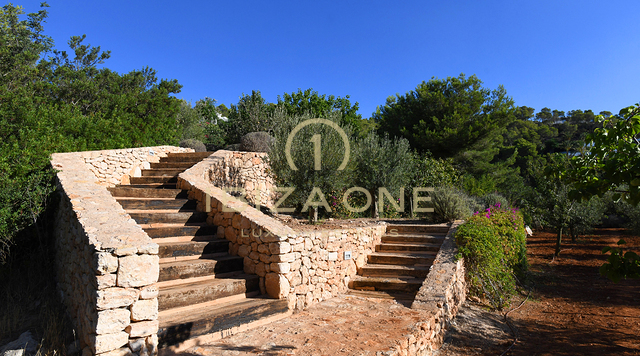 Finca de luxe près d'Ibiza avec vue sur la mer et Dalt Vila à vendre, Ibiza - Finca de luxe près d'Ibiza avec vue sur la mer et Dalt Vila à louer, Ibiza
