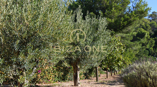 Luxus-Finca in der Nähe von Ibiza mit Meerblick und Blick auf Dalt Vila zu verkaufen, Ibiza - Luxus-Finca in der Nähe von Ibiza mit Meerblick und Blick auf Dalt Vila zu vermieten, Ibiza