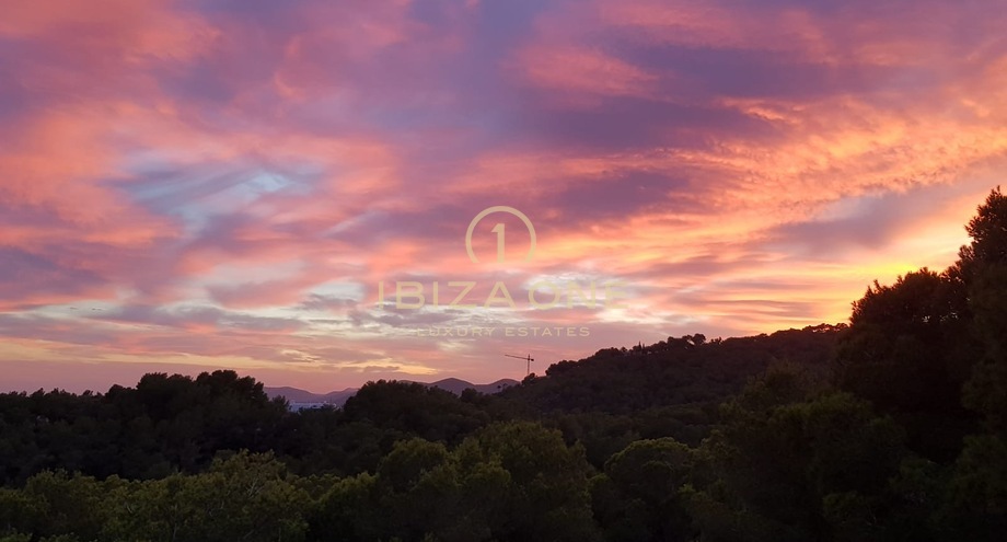 Foto dell'oggetto