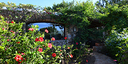 Foto dell'oggetto