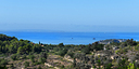 Foto dell'oggetto
