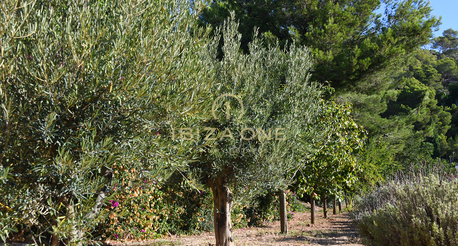 Foto dell'oggetto