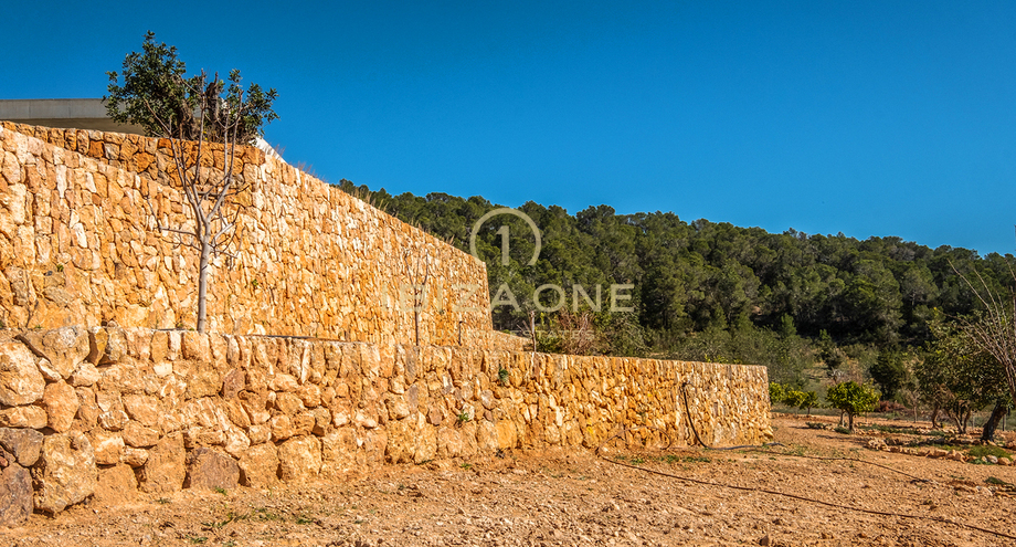 Photos of the property