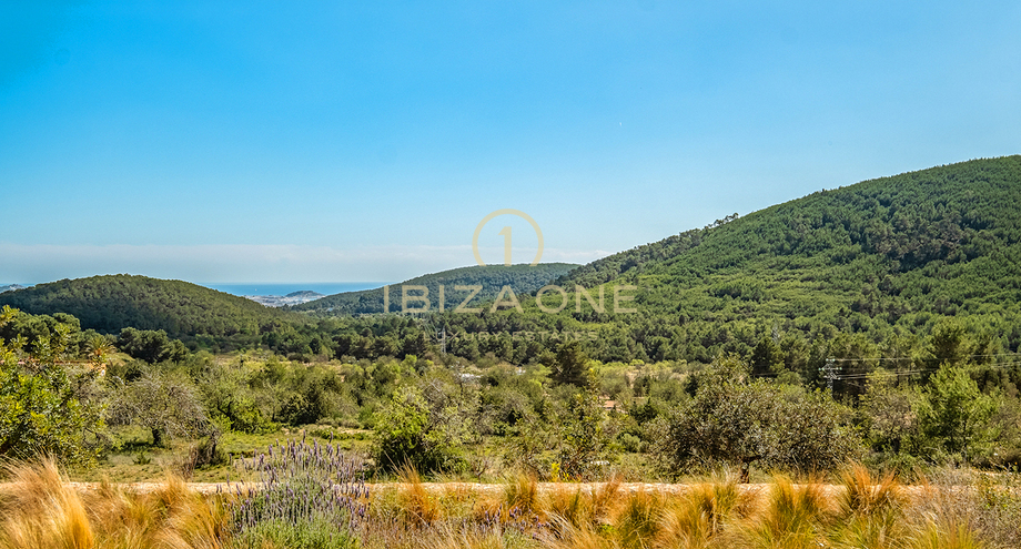 Foto van het vastgoed