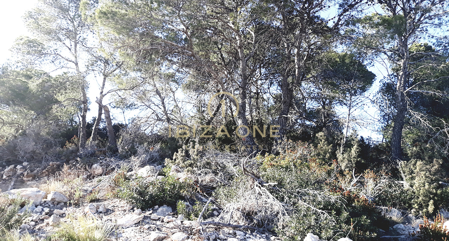 Photos of the property