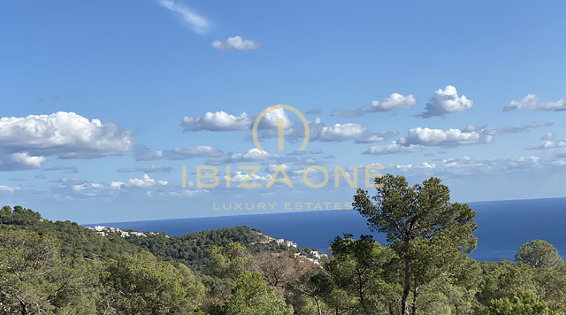 Großes Anwesen in der Nähe von Ibiza mit Blick auf das Meer, Dalt Vila und Formentera zu verkaufen, Ibiza - Großes Anwesen in der Nähe von Ibiza mit Blick auf das Meer, Dalt Vila und Formentera zu vermieten, Ibiza
