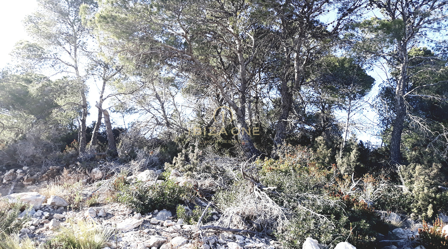 Large property close to Ibiza with views to the sea, Dalt Vila and Formentera for sale, Ibiza - Large property close to Ibiza with views to the sea, Dalt Vila and Formentera for rent, Ibiza