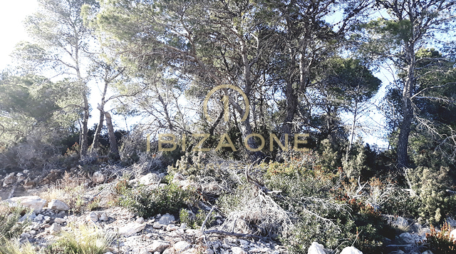 Gran propiedad cerca de Ibiza con vistas al mar, Dalt Vila y Formentera en venta, Ibiza - Gran propiedad cerca de Ibiza con vistas al mar, Dalt Vila y Formentera en alquiler, Ibiza