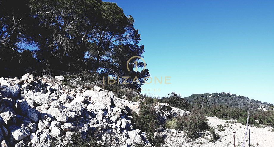 Fotos de la propiedad