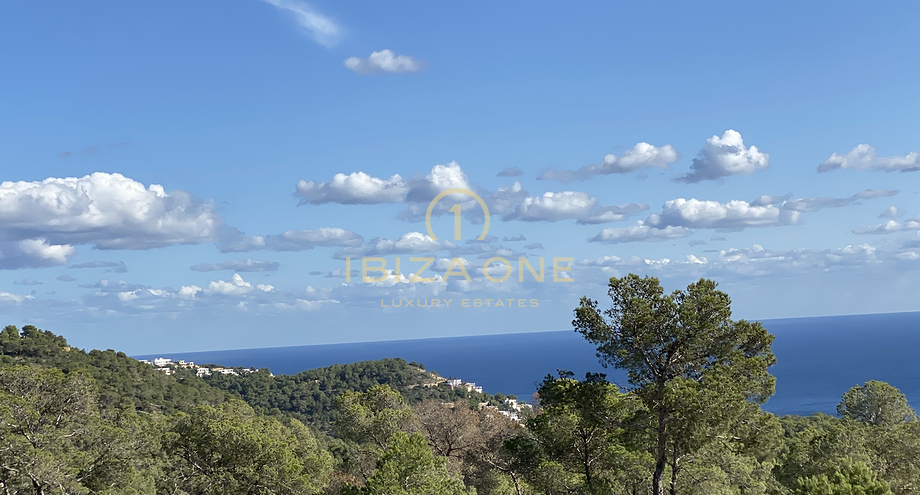 Photos of the property