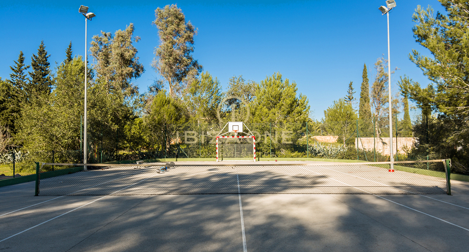 Photos of the property