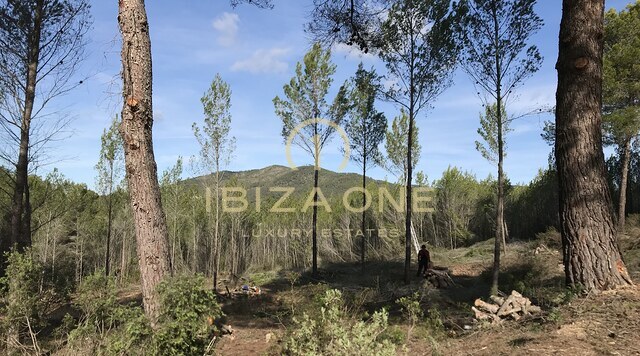 Authentieke luxe oude finca voor renovatie op een perceel van 100.000 m2 te koop, Ibiza - Authentieke luxe oude finca voor renovatie op een perceel van 100.000 m2 te huur, Ibiza