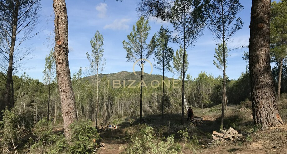 Photos of the property