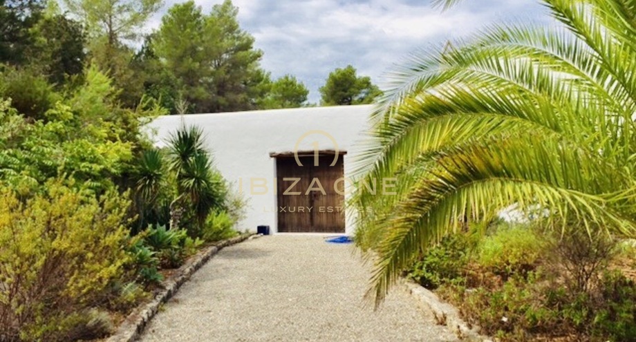 Photo de l'objet
