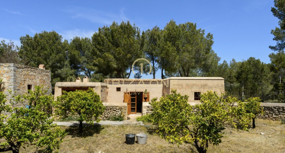 Photos of the property