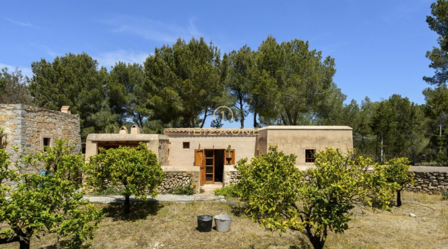 Authentische Luxusfinca mit 2 Gästehäusern zwischen Jesus und St. Eulalia zu verkaufen, Ibiza – Blakstad-Projekt – Authentische Luxusfinca mit 2 Gästehäusern zwischen Jesus und St. Eulalia zu vermieten, Ibiza – Blakstad-Projekt