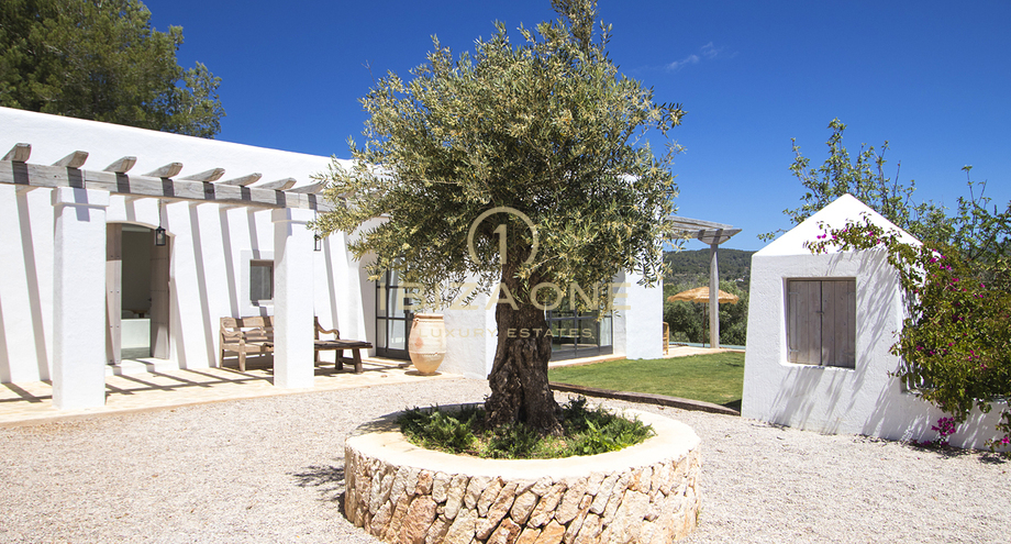 Photos of the property