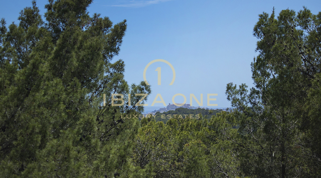 Newly built luxury Blakstad finca / house with guest house near Ibiza town for sale, Ibiza - Newly built luxury Blakstad finca / house with guest house near Ibiza town for rent, Ibiza