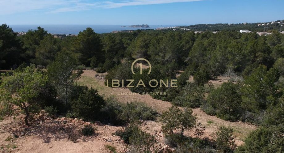 Fotos de la propiedad