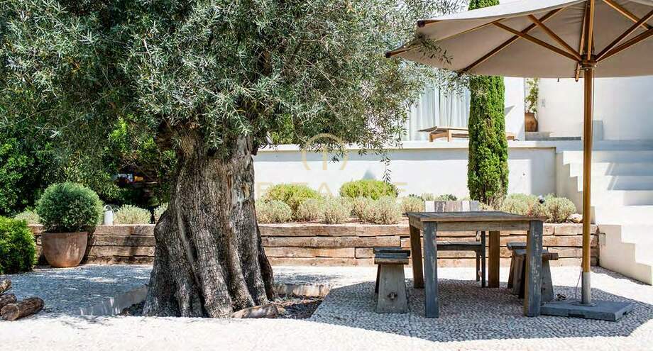 Foto van het vastgoed