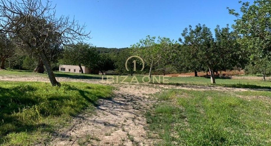 Photos of the property