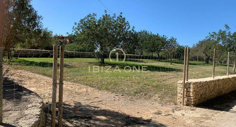 Photos of the property