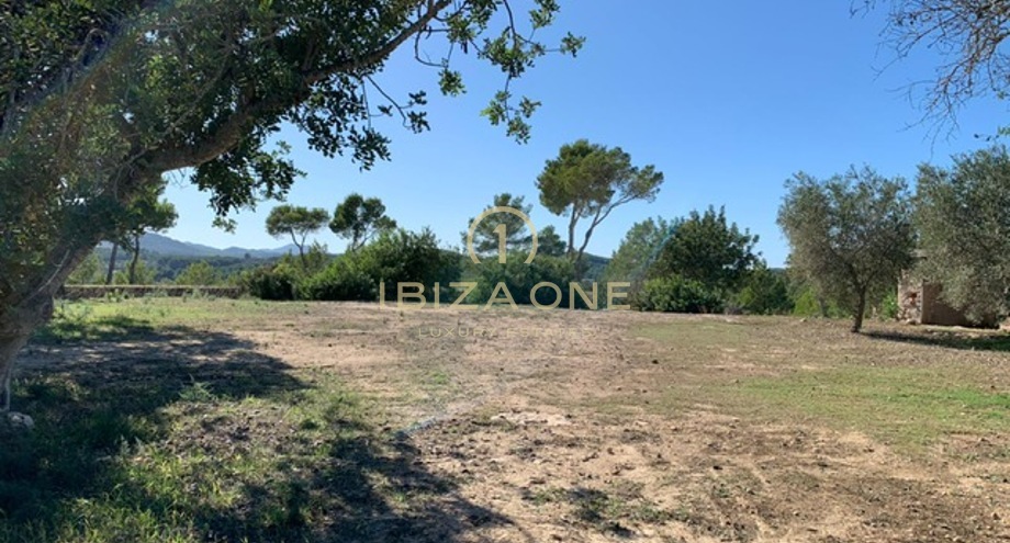 Foto van het vastgoed